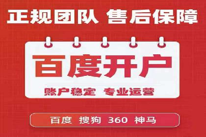 网络推广与竞价广告：双管齐下的策略案例